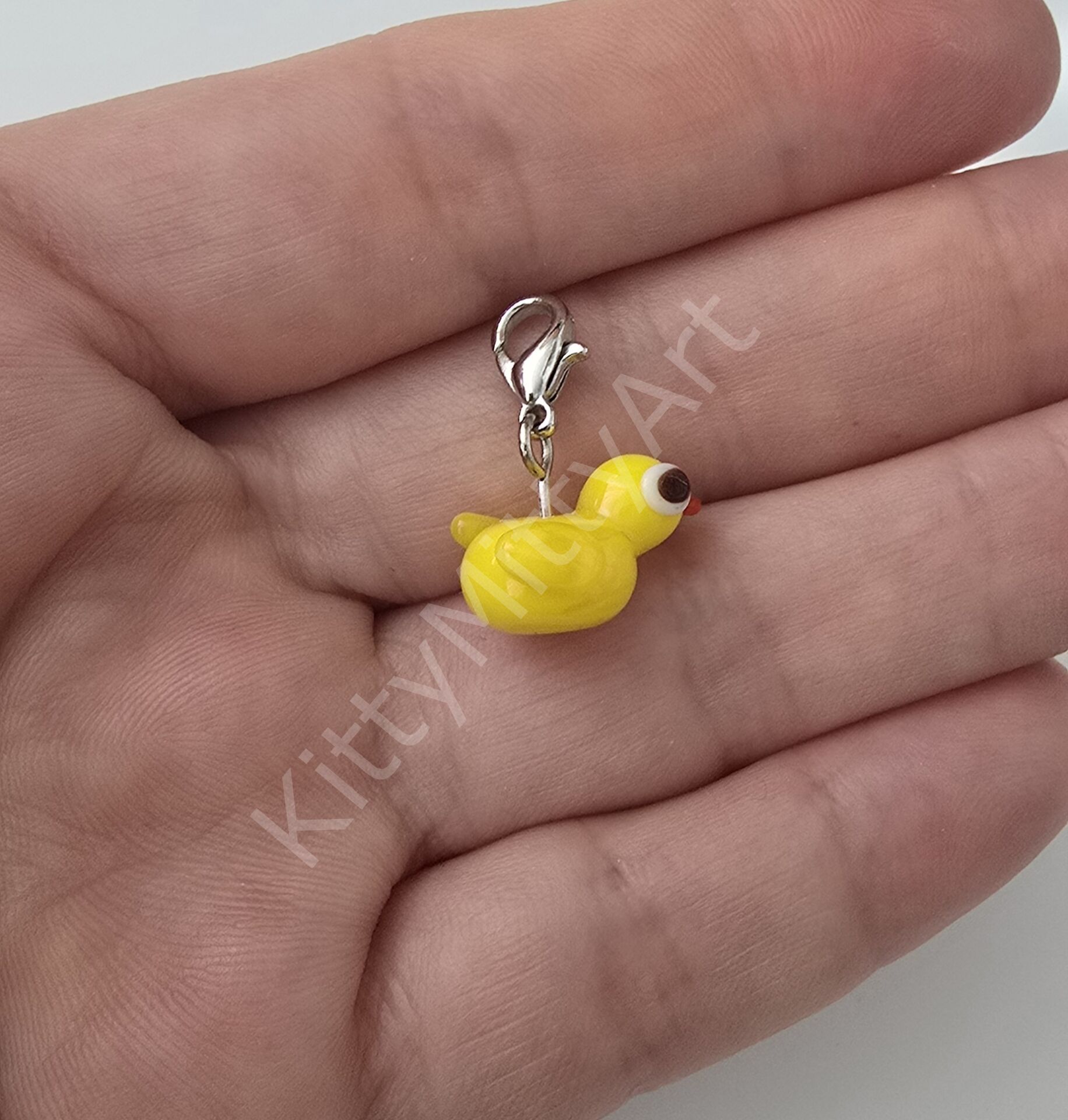 Ördek Charm