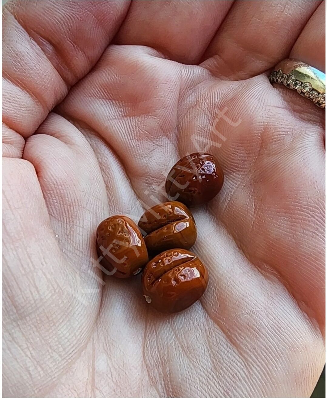 Kahve Çekirdeği Boncuk 1 Adet